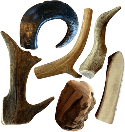 Boris & Lotje Probeerbox hondensnacks Hertengewei, Damhertengewei, Rendiergewei, Elandgewei, Heidewortel en buffelhoorn, natuurlijke kauwsnacks (6 stuks) maat L