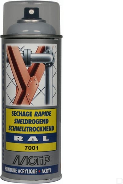 Sneldrogende lak spray voor metaal - Industrieel - Auto - Zilver Grijs - RAL7001