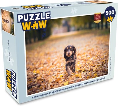 Puzzel Een Engelse cockerspaniël die de bladeren in de Herfst bekijkt - Legpuzzel - Puzzel 500 stukjes