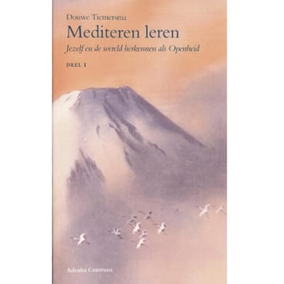Mediteren Leren - D. Tiemersma