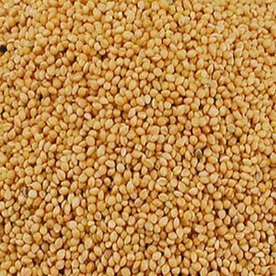 Duvoplus - Binnenvogelvoer - Vogel - Panis Geel 20kg - 1st