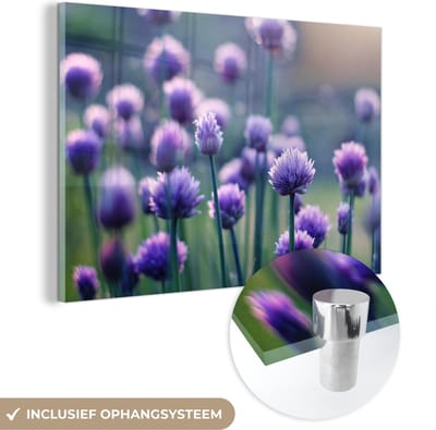 ® Glasschilderij 180x120 cm - Schilderij acrylglas - Bieslook als bloeiende plant in de natuur - Foto op glas - Muurdecoratie woonkamer - Wanddecoratie slaapkamer - Schilderijen