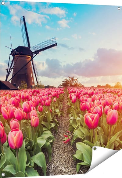 Gards Tuinposter Roze Tulpen Bloemenveld - met Windmolen - 80x100 cm - Tuindoek - Tuindecoratie - Wanddecoratie buiten - Tuinschilderij
