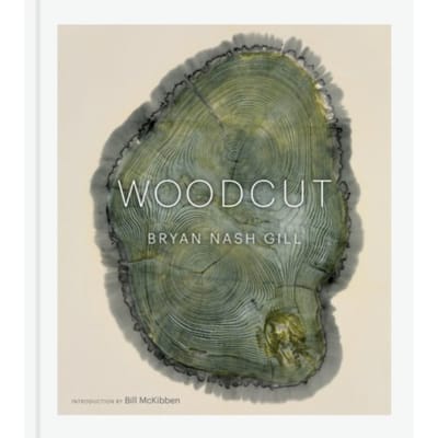 Woodcut - Bryan Nash Gill