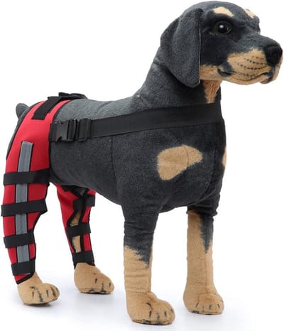 Kniebrace voor Honden, Ondersteuning bij ACL, CCL, Patella Luxatie en Artrose voor Voor- en Achterpoten (M)