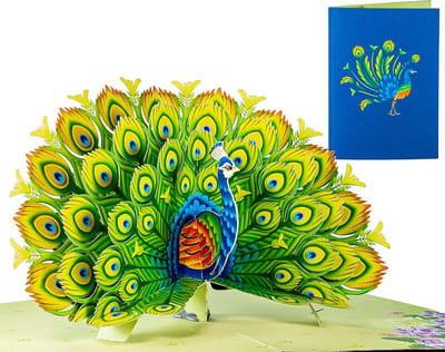 3D Pop-Up Wenskaart Pauw - Unieke Vouwkaart voor Verjaardag, Liefde en Alle Gelegenheden
