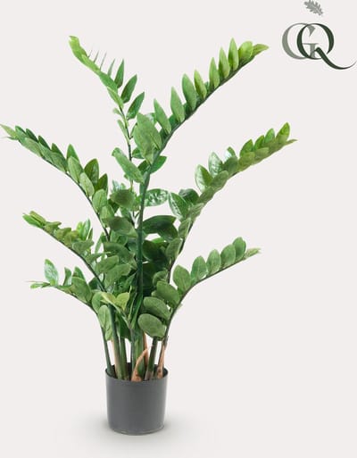 Kunstplant - Zamioculcas - Kamerpalm - 110 cm