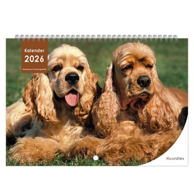 Huurdies - 2026 Kalender - American Cockerspaniël - A4