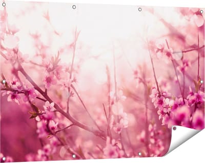 Gards Tuinposter Roze Bloesemboom met Zonneschijn - 120x80 cm - Tuindoek - Tuindecoratie - Wanddecoratie buiten - Tuinschilderij
