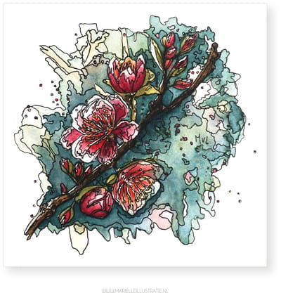 Bloesem wenskaart 12,5x12,5cm, illustratie aquarel en fineliner