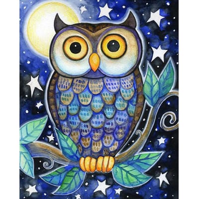 5D DIY Diamond Painting Een mooie uil Borduren Kruissteek Strass Mozaïek Home Decor 20X30CM blue
