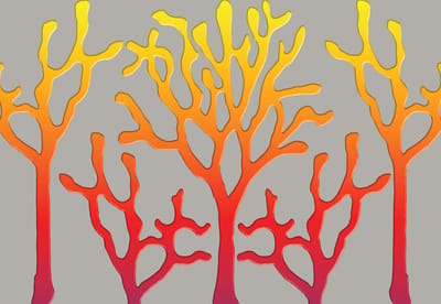 Fotobehang Tree Abstract Fiery | XL - 208cm x 146cm | 130g/m2 Vlies