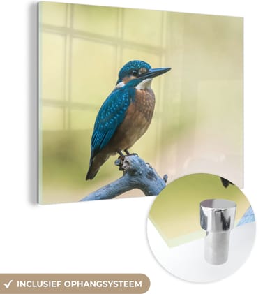 MuchoWow® Glasschilderij 40x30 cm - Schilderij acrylglas - IJsvogel - Tak - Vogel - Foto op glas - Schilderijen