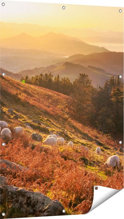 Gards Tuinposter Schapen in de Bergen - 80x120 cm - Tuindoek - Tuindecoratie - Wanddecoratie buiten - Tuinschilderij