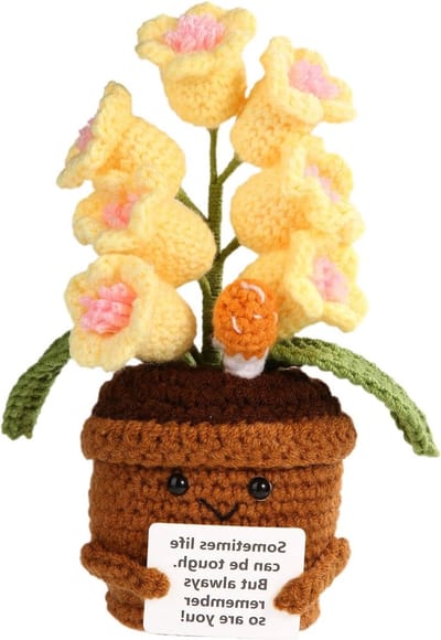 Gehaakte Positieve Bloem, Lelietje-van-dalen Plantenpot, Inspirerende Decoratie voor Thuis en Kantoor, Gehaakt Cadeau voor Groene Vingers