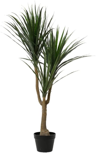 HEM Levensechte Kunstplant Dracaena 120 cm – Levensechte Groene Kunstboom met Pot – Hoogwaardige Kamerplant voor Interieurdecoratie