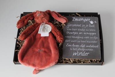 Brievenbus cadeau Rabbit Richie Rusty - kraam cadeau - cadeau baby - cadeau zwangerschap