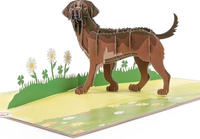 Honden Wenskaart - Pop-up Kaart - Felicitaties Versturen - 3D Labrador Design - 20 x 15 cm - Bruin Groen