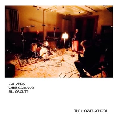 Bill Orcutt, Chris Corsano & Zoh Amba - The Flower School (CD)