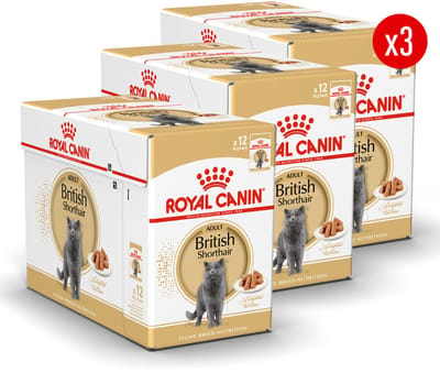 Royal Canin British Shorthair Adult in Loaf - Kattenvoer - 36x85g - Brits korthaar