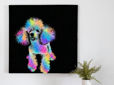 Preddy poodle paws | Preddy Poodle Paws | Kunst - 80x80 centimeter op Forex | Foto op Forex