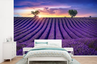 Behang - Fotobehang Lavendel - Heuvels - Zonsondergang - Bpmen - Paars - Breedte 330 cm x hoogte 220 cm