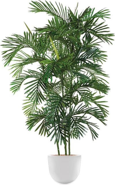 Kunstplant Areca palm in Eggy H175 cm