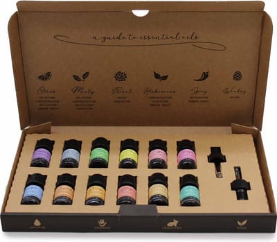 Scent Meester Autumn Comfort - Luxe Etherische Oliën Starter Set - 12x5ml 100% Puur & Natuurlijk - Warme Herfstgeuren Essentiële Oliën voor Diffuser & Aromatherapie - Cadeauset incl. 2 Druppelaars - Vegan & Handmade