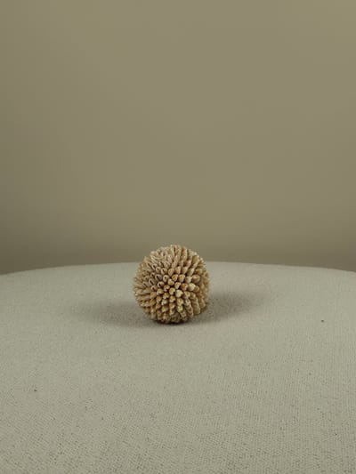 Blitzdeco - Decoratieve Schelpenbal - Cindy - Handgemaakt - Wit-Zalmkleurig - Uniek - Small