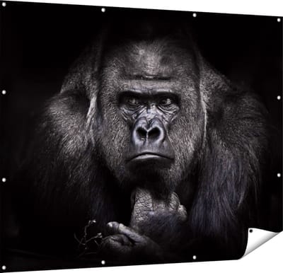 Gards Tuinposter Gorilla - Zwart Wit - 150x120 cm - Tuindoek - Tuindecoratie - Wanddecoratie buiten - Tuinschilderij