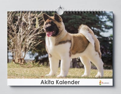 Huurdies - Verjaardagskalender - Akita - A3