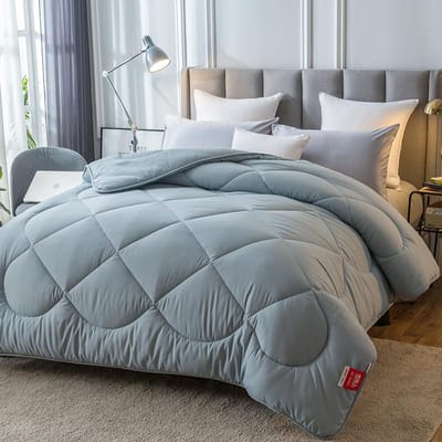 Dekbed Winterdekbed Lente Herfst Dekbed Vier Seizoenen Universeel Enkel Dubbel Dekbed Airconditioning Dekbed Koel Zomerdekbed 150x200cm 1.5kg