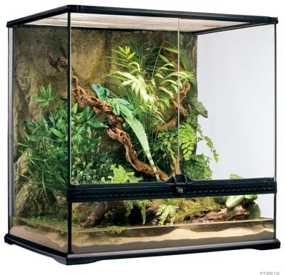 Exo Terra Glas Terrarium - Zwart - 60 x 45 x 60 cm