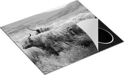 Chefcare Inductie Beschermer Twee Schotse Hooglanders in het Heuvelvelachtige Veld - Zwart Wit - 60x50 cm - Afdekplaat Inductie - Kookplaat Beschermer - Inductie Mat