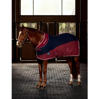 Droogdeken voor paarden Weatherbeeta Thermo-Air