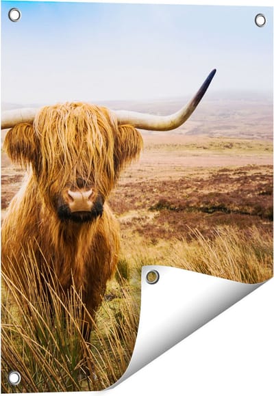 Gards Tuinposter Schotse Hooglander Koe in het Veld - 40x50 cm - Tuindoek - Tuindecoratie - Wanddecoratie buiten - Tuinschilderij