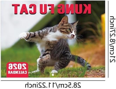 Katten Kalender 2026 - Muurkalender met Schattige Katten voor Thuis, Kantoor en Hotels