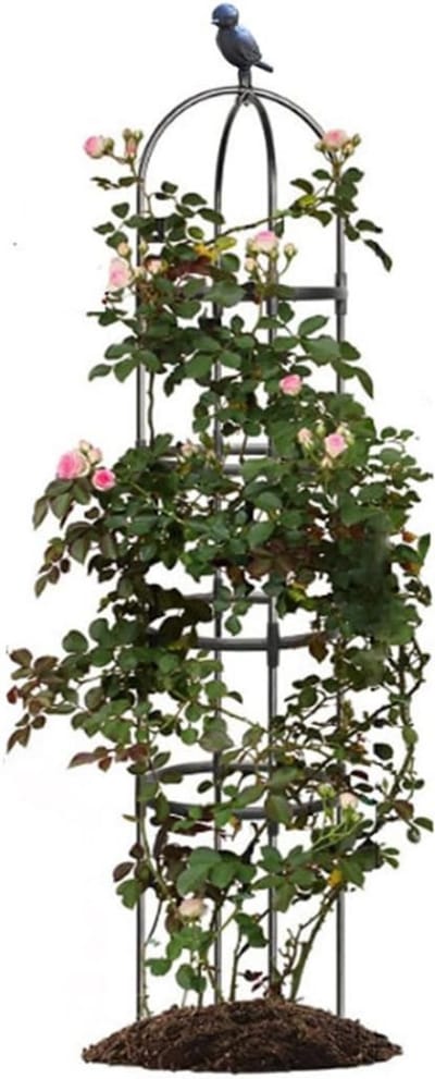 CLGP® Klimrek Planten - Plantensteunen voor Klimplanten - Wandrek voor Buiten - Zwart