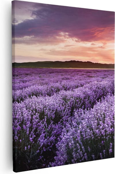 Artaza Canvas Schilderij Lavendel - 40x50 cm - Wanddecoratie Bloemenveld - Muurdecoratie Natuur - Kamer Accessoires