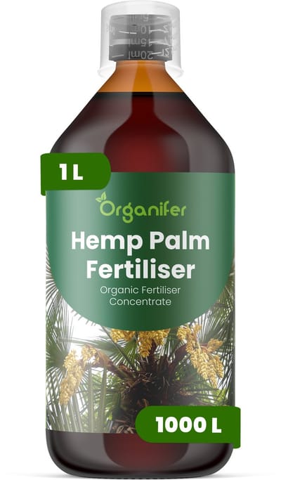 Vloeibare Meststof Voor Henneppalm 1 L Voor 1000 L - Npk 2-1-8 - Dichtheid - Sterk Wortelstelsel - Ondersteunt Krachtige Blad- En Stamontwikkeling - Behoudt Een Sterke Plantstructuur Gedurende Het Groeiseizoen - Organifer
