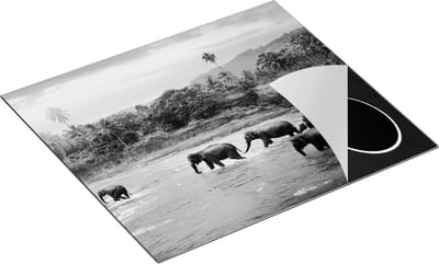 Chefcare Inductie Beschermer Kudde Olifanten in het Water - Zwart Wit - 60x50 cm - Afdekplaat Inductie - Kookplaat Beschermer - Inductie Mat