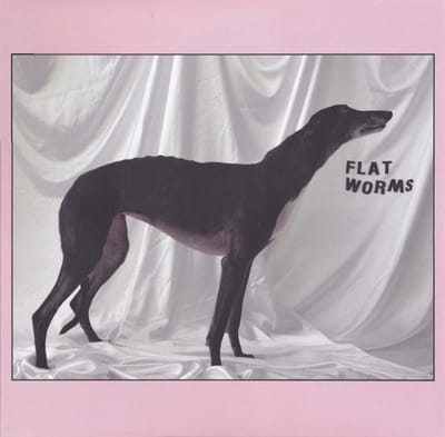Flat Worms - Flat Worms (LP)