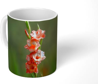 Mok - Koffiemok - Bloem - Gladiolen - Zalmroze - Mokken - 350 ML - Beker - Koffiemokken - Theemok