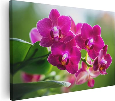 Artaza Canvas Schilderij Bloemen - 30x20 cm - Klein - Muurdecoratie Orchidee - Wanddecoratie Woonkamer - Kamer Accessoires