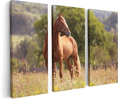 Artaza Canvas Schilderij Drieluik Bruin Paard In De Wei - 120x80 - Foto Op Canvas - Canvas Print