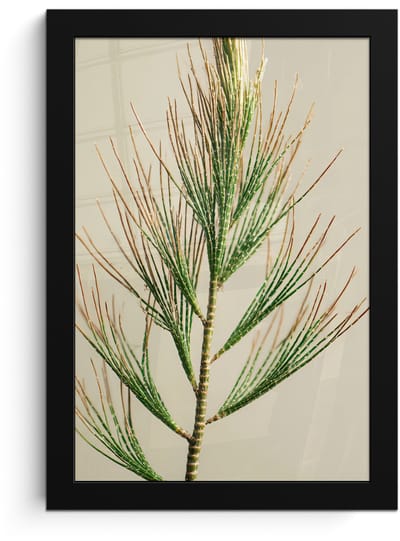 Poster in lijst - Fotolijst 20x30 cm - Posters - Dennentak - Naaldvormige bladeren - Lichtgroen - Posterlijst zwart - Decoratie - Wanddecoratie woonkamer - Muurdecoratie slaapkamer