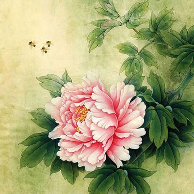 Diy 5d Diamond schilderij pioen bloemen kruissteek volledige ronde Diamond mozaïek Kits diamant borduurwerk 30x30CM beige