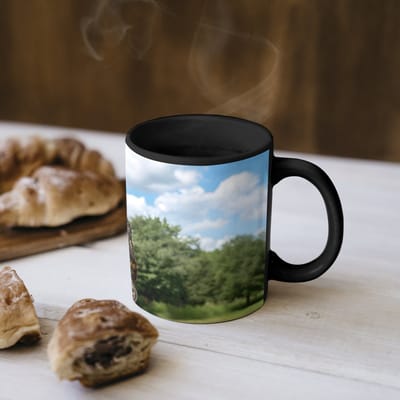Magische Mok - Foto op Warmte Mokken - Koffiemok - Uil - Boomstronk - Bos - Lucht - Magic Mok - Beker - 350 ML - Theemok