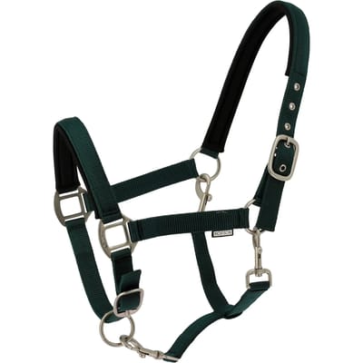 Halster voor paarden Norton Nacre