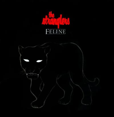 Feline